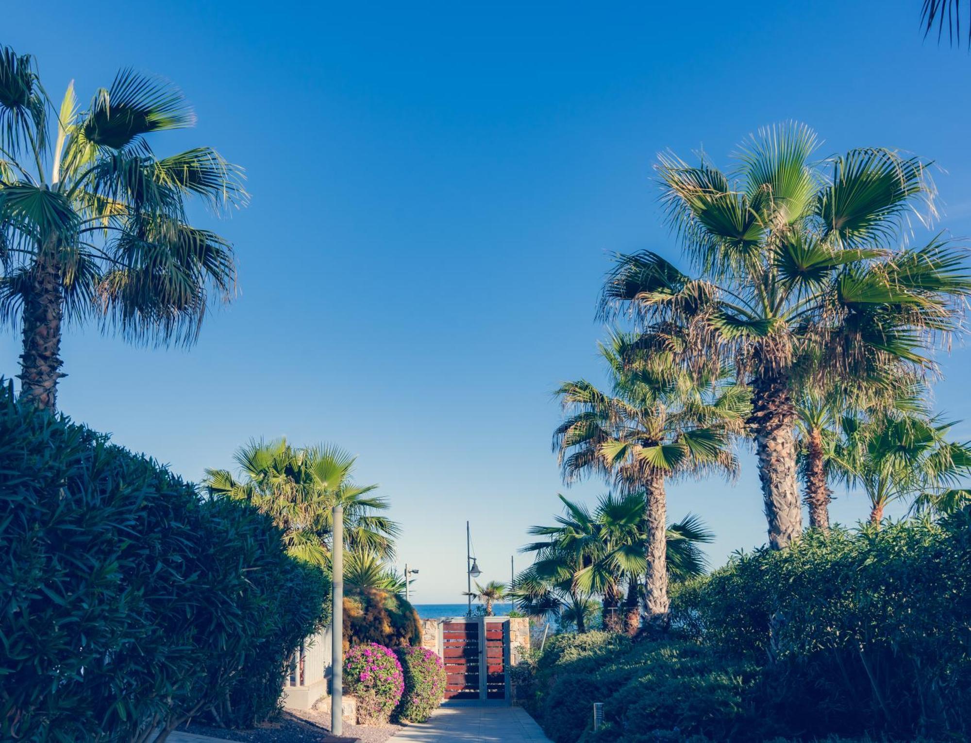 Apartamento Premium Con Jacuzzi Y Vistas Al Mar En Punta Prima, Torrevieja By Rentalole Bagian luar foto